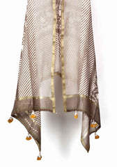 Brio Hunch Cotton Silk Chanderi Dupatta